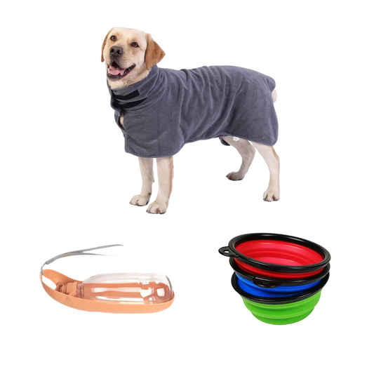 Dog Adventure Bundle