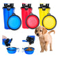 The Ultimate Dual Function Dog Bowl