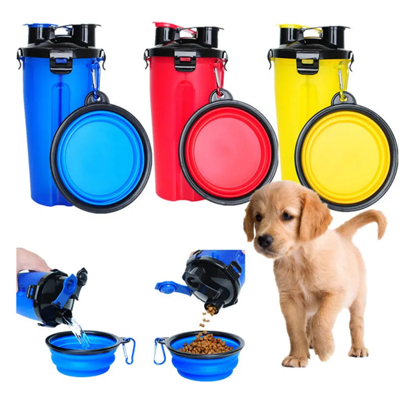 The Ultimate Dual Function Dog Bowl