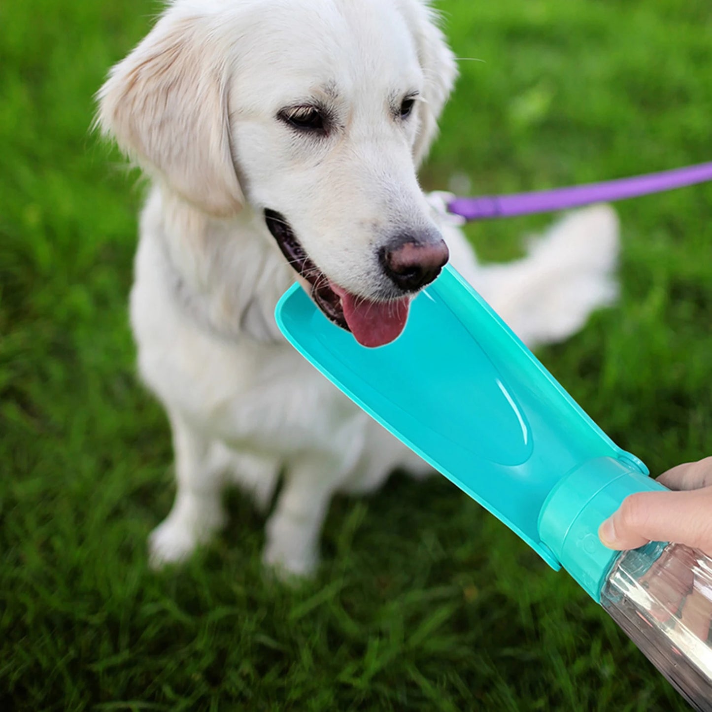 Premium Portable Dog Water Bottle