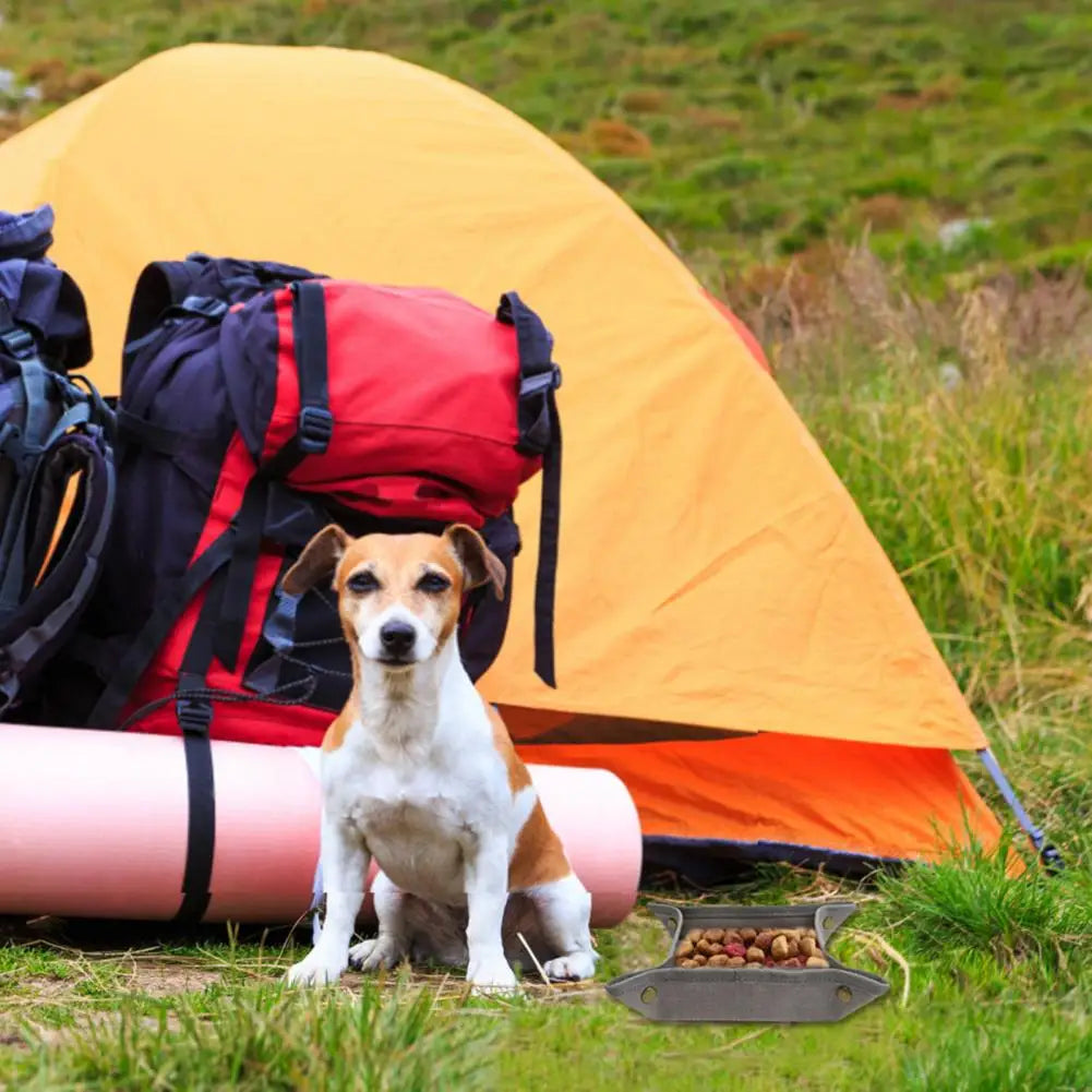 Stylish Easy Cleaning Canvas Foldable Dog Feeder