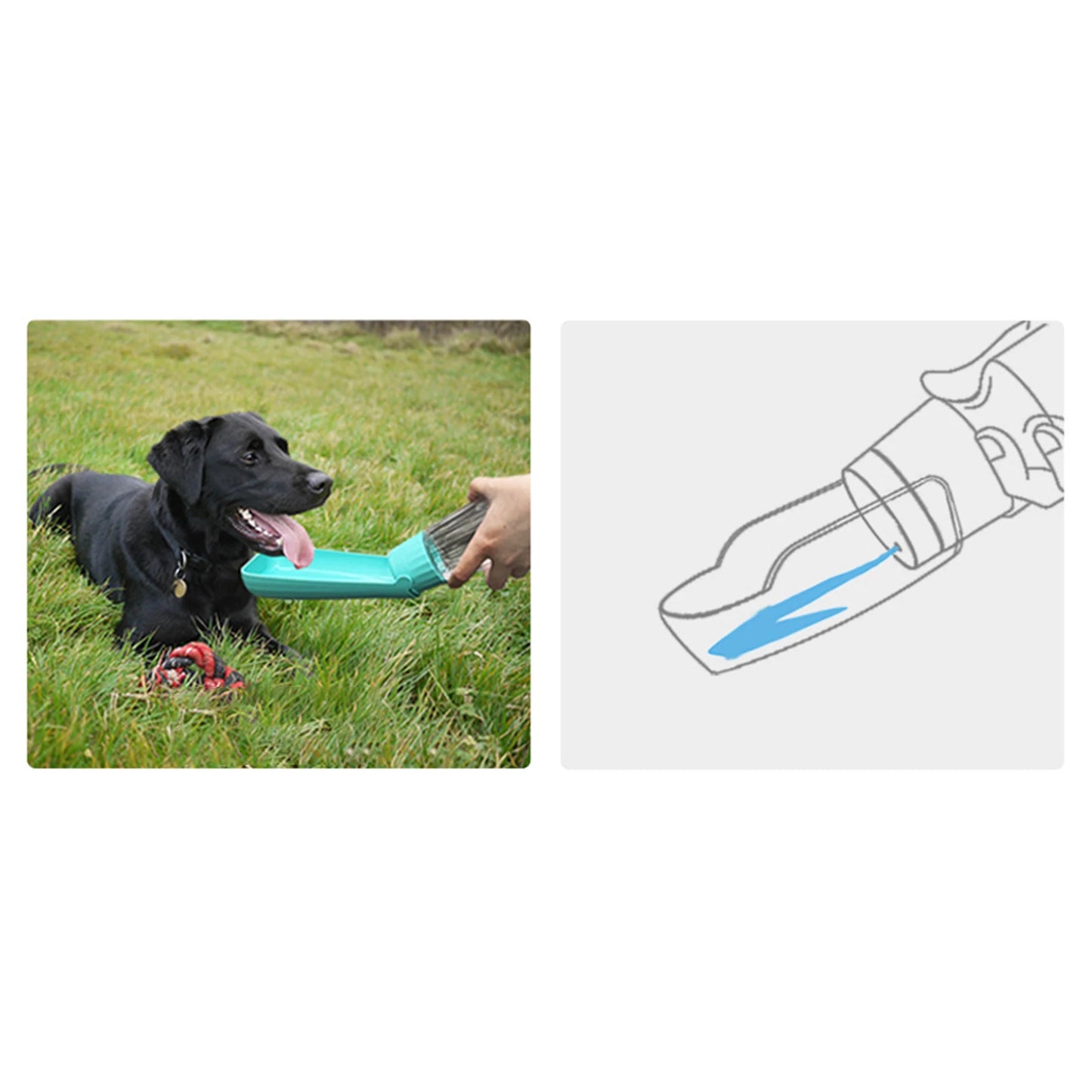 Premium Portable Dog Water Bottle